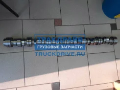 ����������������� ��� ��� ����������� ������ � ����������� DC12 � DT12 BF 20100712004 20100712004 ����