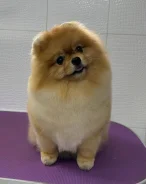 ����. ����