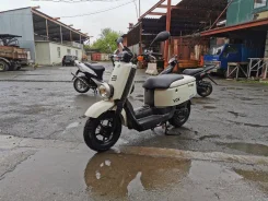 Yamaha Vox. 49����. ��., ��������, ��� ���, ��� ������� ����
