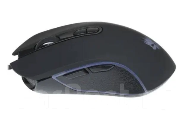 ���� ������������. ����