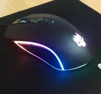 ���� ������������. ����