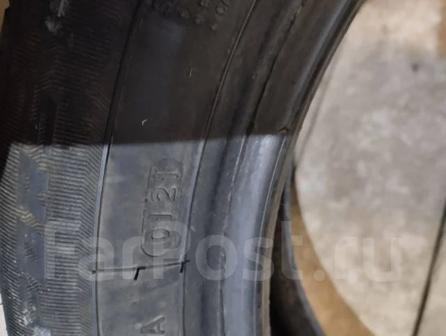 Windforce Catchfors PCR. ������, 2021 ���, �/�, ����� 5 % ����
