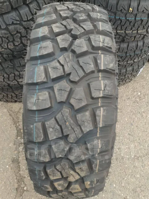 Aoqishi. ����� mt, 2024 ���, ����� ����