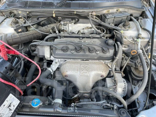 Honda Torneo. CF3, F18B ����