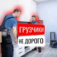 ��������. ����