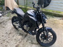 Regulmoto Alien Monster 300. 300����. ��., ��������, ���������, ������ �� �� ����