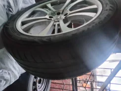 Abelia Sport. x20", ET45 ����