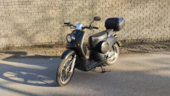 Stels Alpha 50. 65����. ��., ��������, ��� ���, ������ �� �� ����