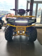 Irbis ATV. ��������, ��, ��� ������� ����