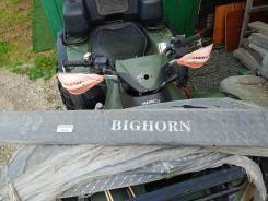   Bighorn 