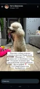 ������. ����
