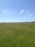 ������ ��������� ������� 2,6 �� ���������. 260����., �/�, �������������, ������������� ����