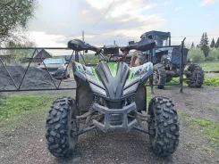 Sharmax Cross 180. ��������, ��, �� ����