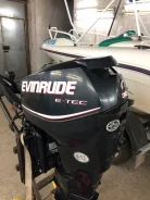Evinrude. 30��.�., 2-�������, ����������, ���� L (508 ��), 2011 ��� ����