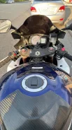 Suzuki GSX-R. 1 000����. ��., ��������, ���������, ��� ������� ����