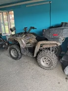 Yamaha Grizzly 700. ��������, ��, �� ����
