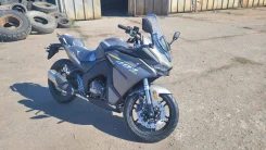 Cyclone RG401. 401����. ��., ��������, ���������, ��� ������� ����