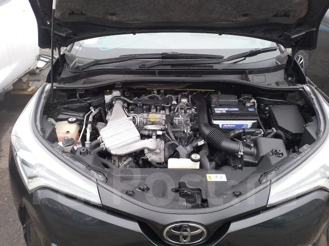 Toyota C-HR. NGX50, 8NR ����