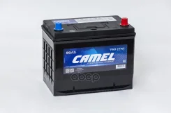 Camel