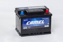 Camel