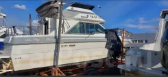 Searay. 1988 ���, ����� 7��., ��������� ������������, 300��.�., ������ ����