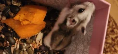 ������. ����