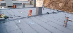 ������ ������ ������. ����
