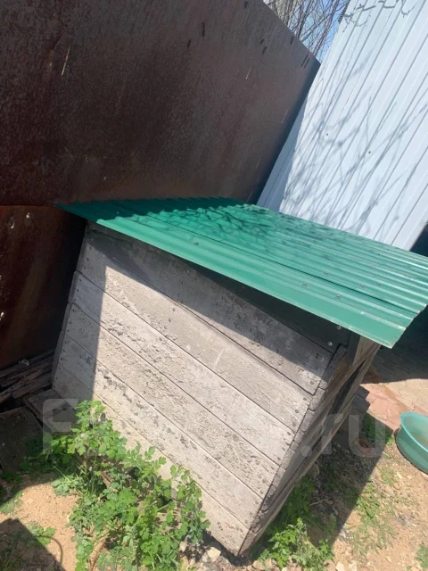 �����. ����
