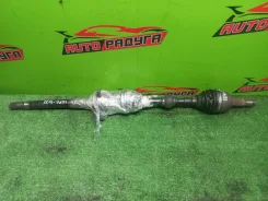 ������ J31, TU31 Nissan, Presage, Teana [39100CN000], ������ �������� 39100CN000 ����