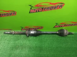 ������ GGH20W, GSA38 Toyota Alphard, �Estima, �Previa, �RAV4, �Tarago, �Vellfire [4341042160], ������ �������� 4341042160 ����