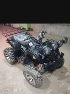 Tiger Sport. ��������, ��� ������� ����