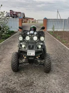 Tiger. ��������, �� ����