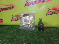 ������� ����� ��������� ������ RD1 DB35036 DB35036 ����