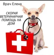 ����������. ����