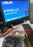P55 ����