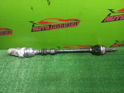 ������ C11, E11 39100ED305, ������ �������� 39100ED305 ����