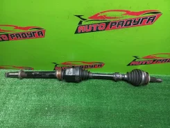 ������ GGH25W, GSA33 Toyota, Alphard, �Estima, �Previa, �RAV4, �Tarago, �Vellfire [4341042200], ������ �������� 4341042200 ����