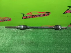 ������ KGC15, M310S 43410B1030, ������ �������� 43410B1030 ����