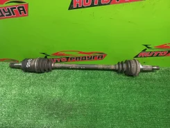 ������ CT216, CT216G 4236033010, ������ ������ 4236033010 ����