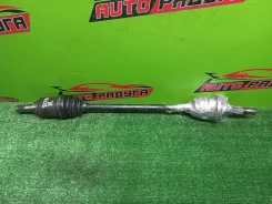 ������ CT216, CT216G 4234021010, ����� ������ 4234021010 ����