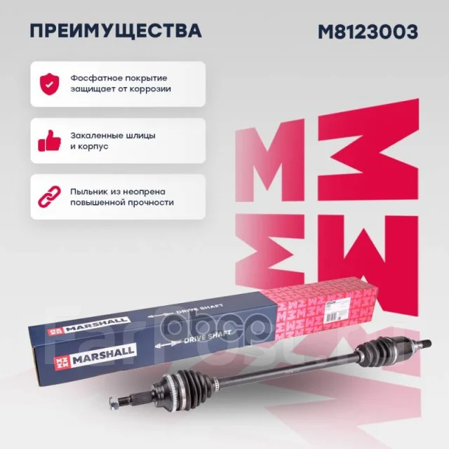 ������ � ����� Marshall ���. M8123003 M8123003 ����