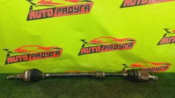 ������ C11, E11 39100ED305, ������ �������� 39100ED305 ����