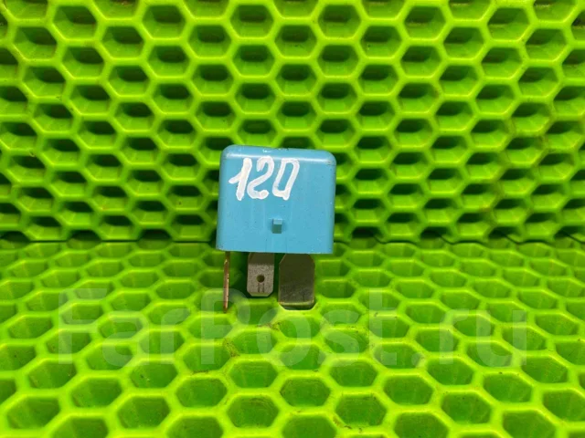 ���� (120) 9098704010 ����