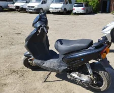 Stels. 49����. ��., ��������, ��� ���, ������ �� �� ����