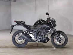 Yamaha MT-03. 320����. ��., ��������, ���������, ��� ������� ����