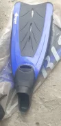 �����. ����