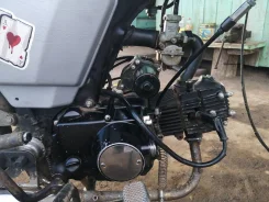 Orion. 75����. ��., ��������, ��� ���, ������ �� �� ����