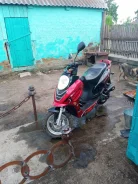 Racer Sagita. 50����. ��., ��������, ���������, ������ �� �� ����