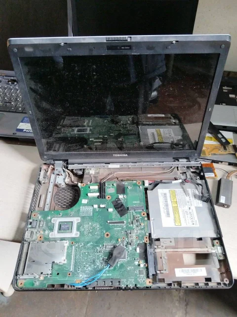 Toshiba ����
