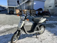 Yamaha EC-03